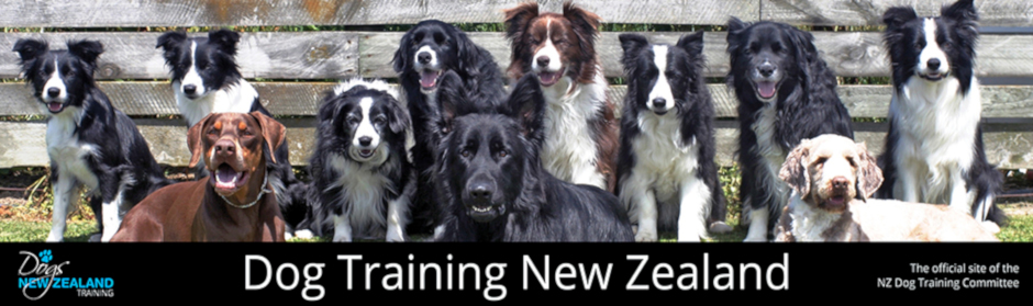 Dogs NZ Dog Training